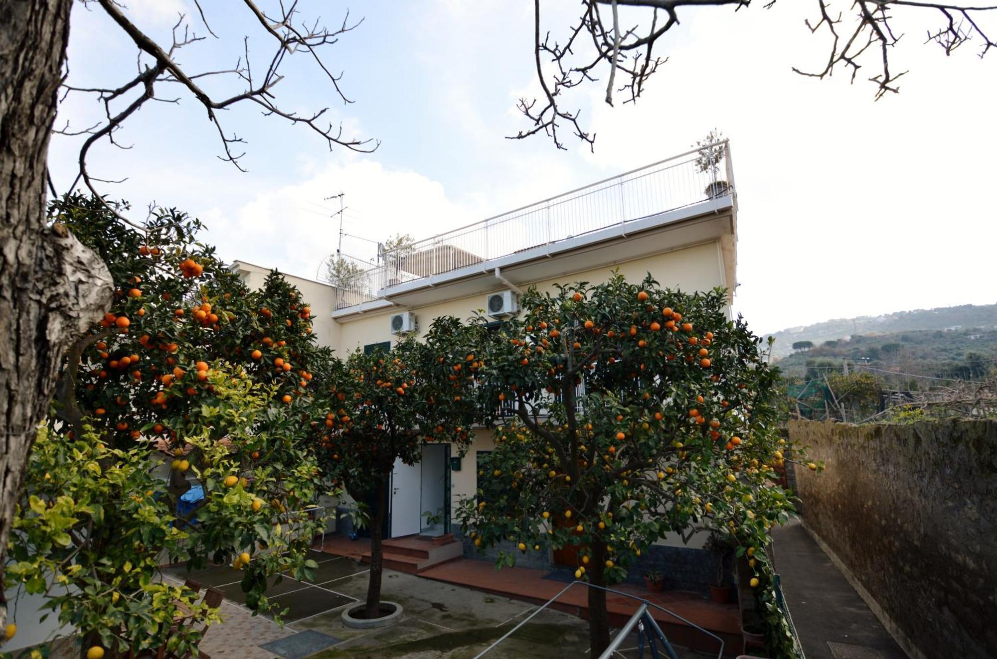 La Terrazza Family Holidays - Sorrento Coast Sant'Agnello Exterior foto
